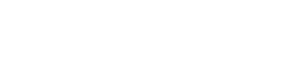 Amazing Life